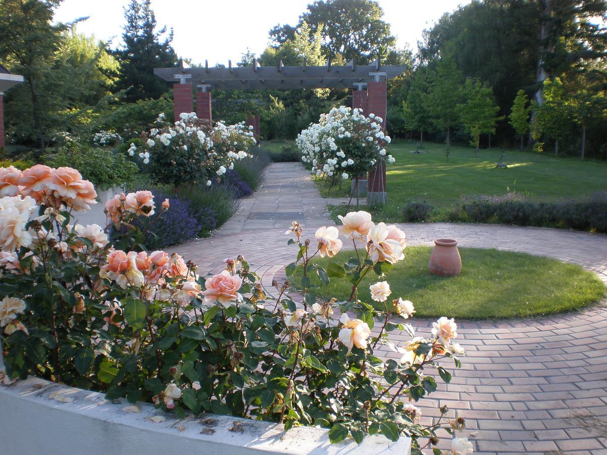 Shamrock Garden B&B Airport Christchurch Extérieur photo