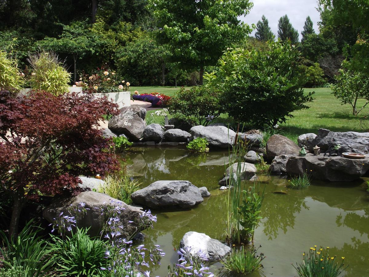 Shamrock Garden B&B Airport Christchurch Extérieur photo