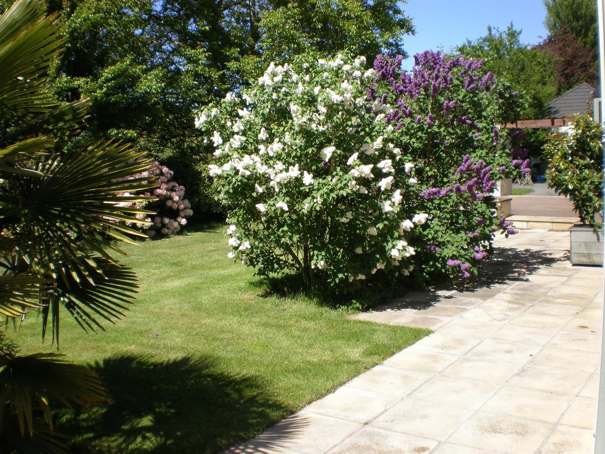 Shamrock Garden B&B Airport Christchurch Extérieur photo