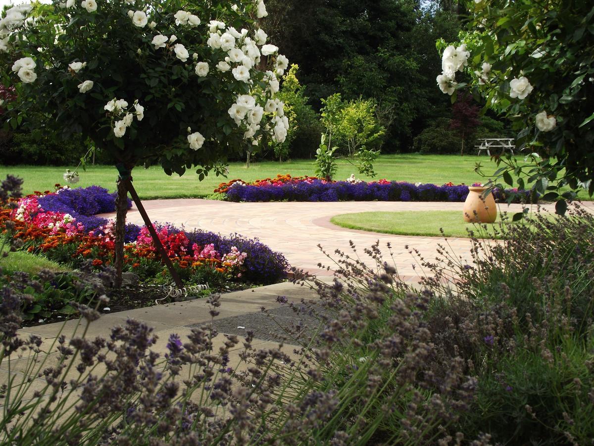 Shamrock Garden B&B Airport Christchurch Extérieur photo