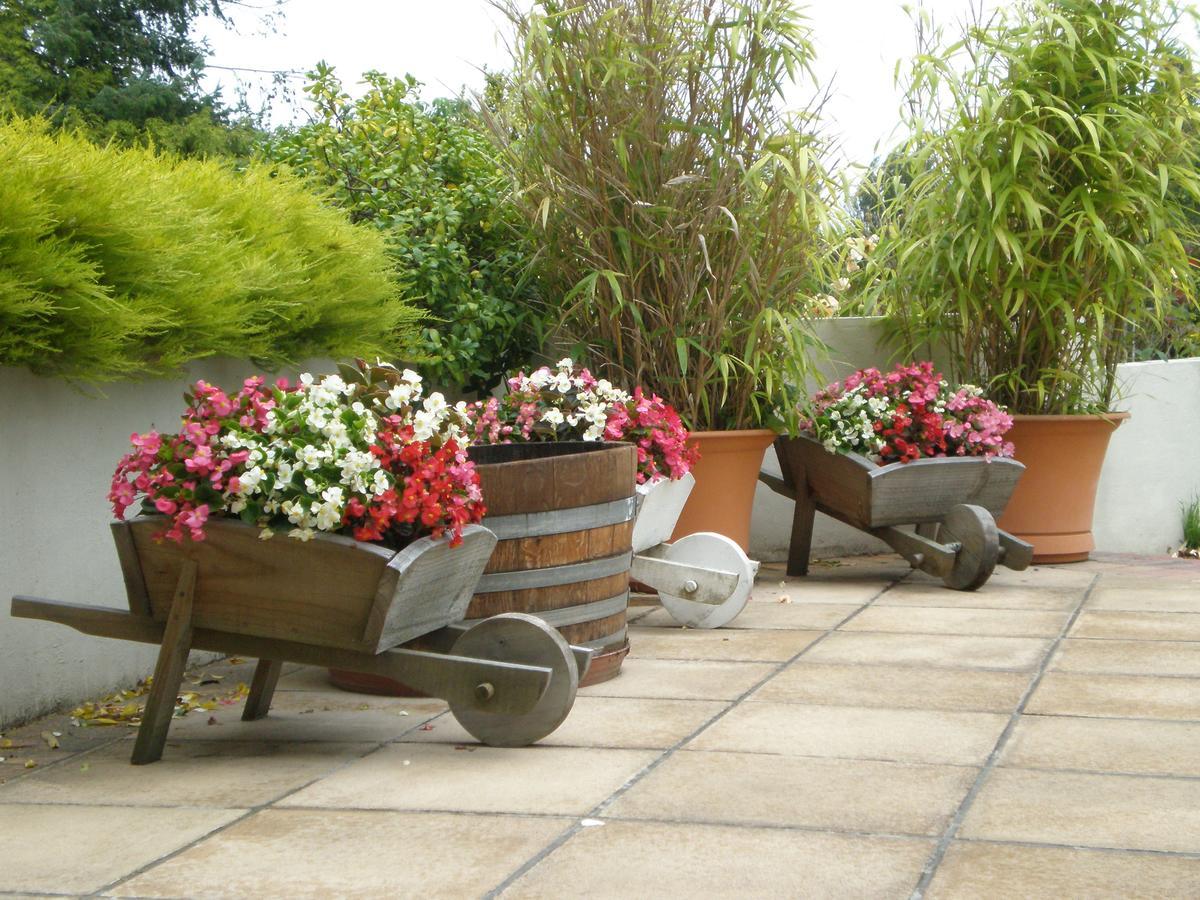 Shamrock Garden B&B Airport Christchurch Extérieur photo