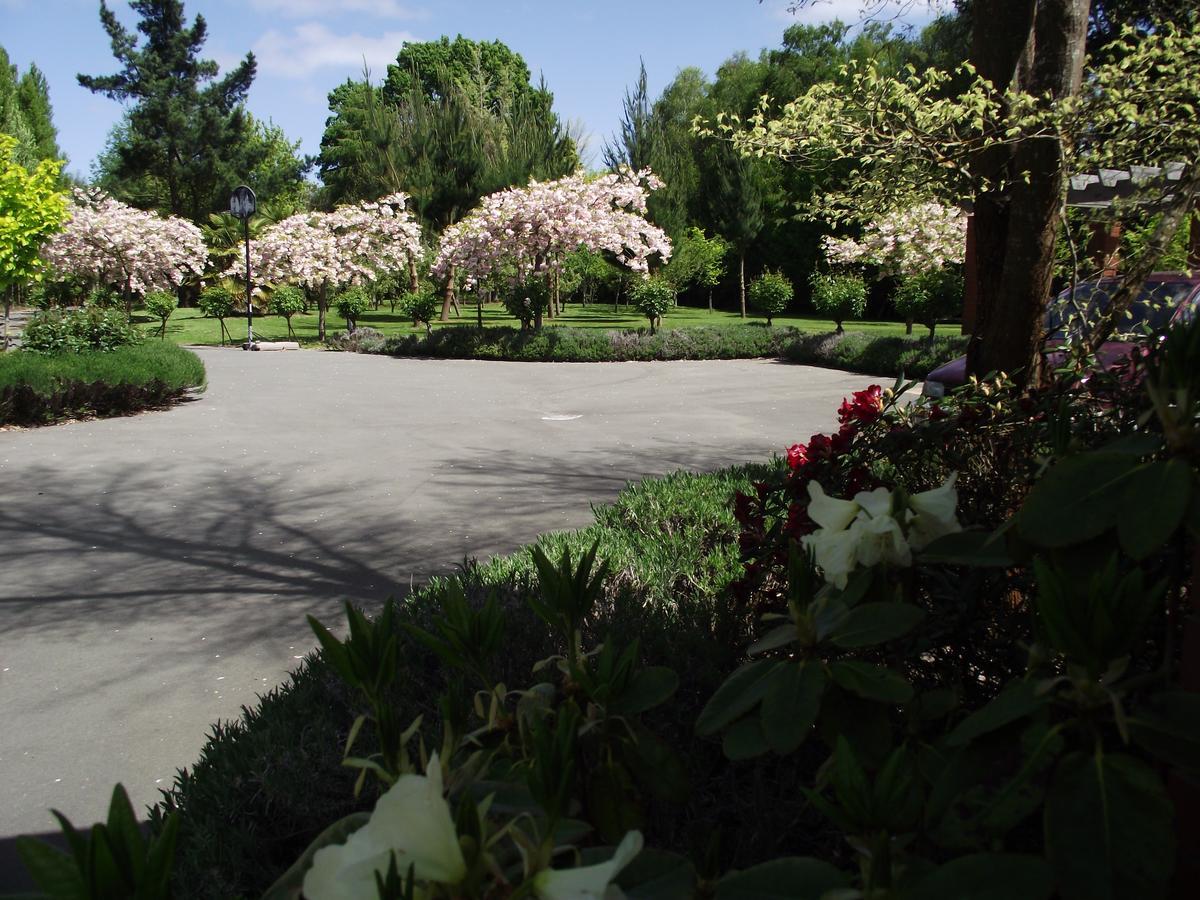 Shamrock Garden B&B Airport Christchurch Extérieur photo