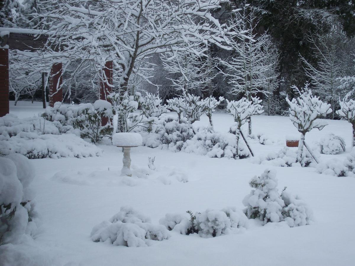 Shamrock Garden B&B Airport Christchurch Extérieur photo