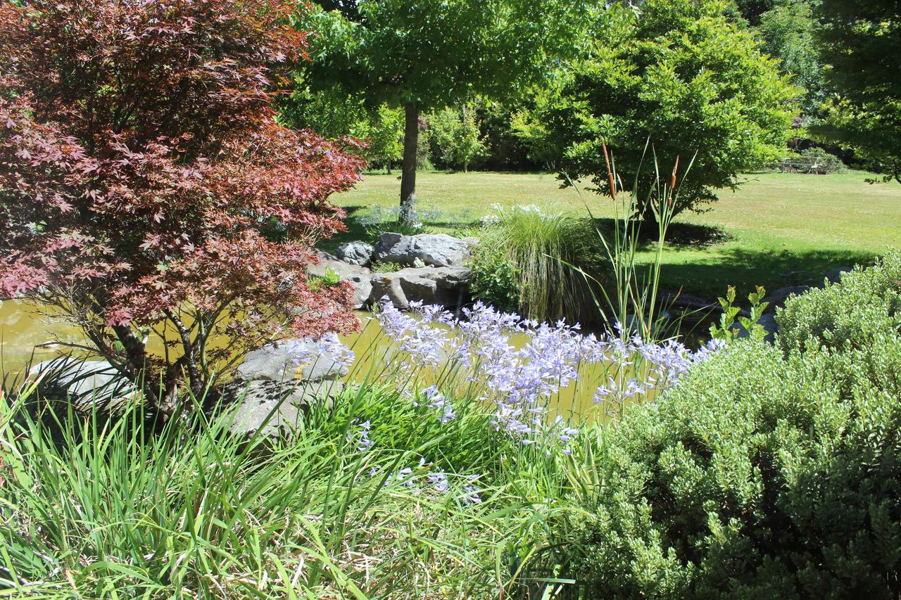 Shamrock Garden B&B Airport Christchurch Extérieur photo