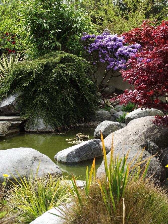 Shamrock Garden B&B Airport Christchurch Extérieur photo
