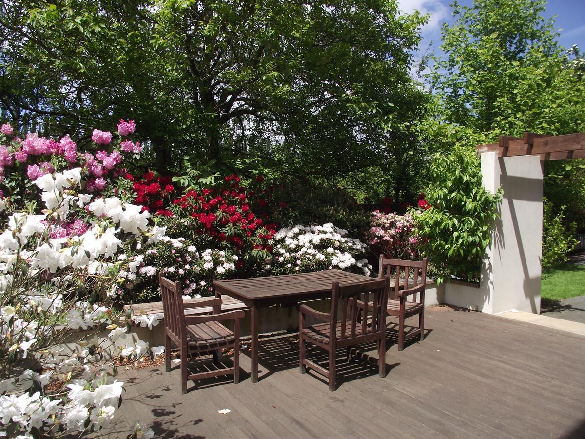 Shamrock Garden B&B Airport Christchurch Extérieur photo