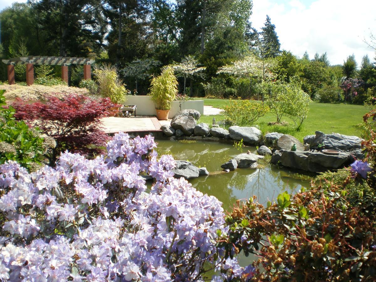 Shamrock Garden B&B Airport Christchurch Extérieur photo