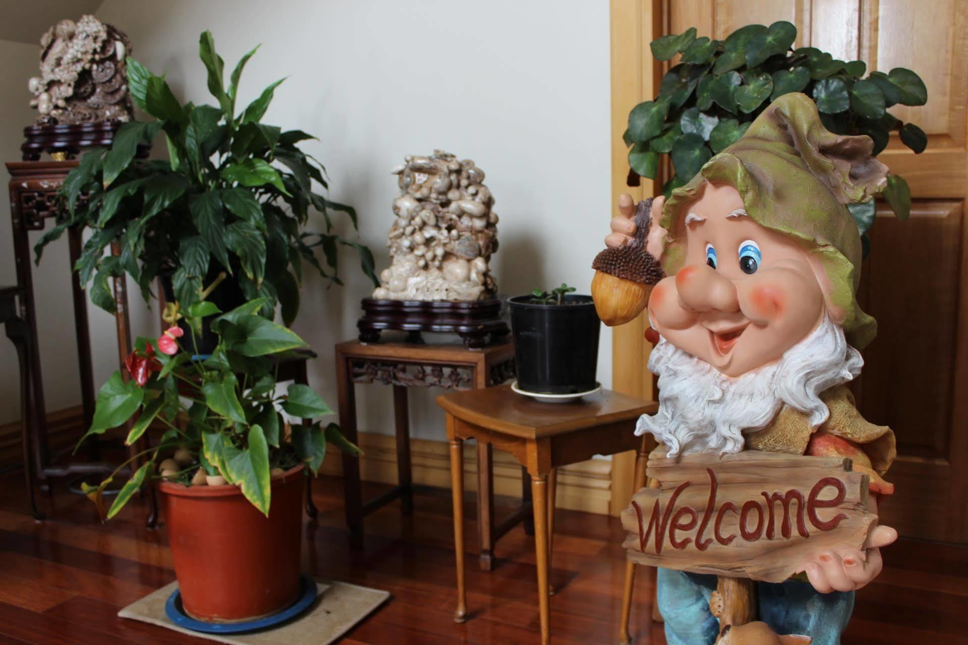 Shamrock Garden B&B Airport Christchurch Extérieur photo